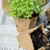 Relaxdays Propagation Pots Set of 24, Propagation Plates for 288