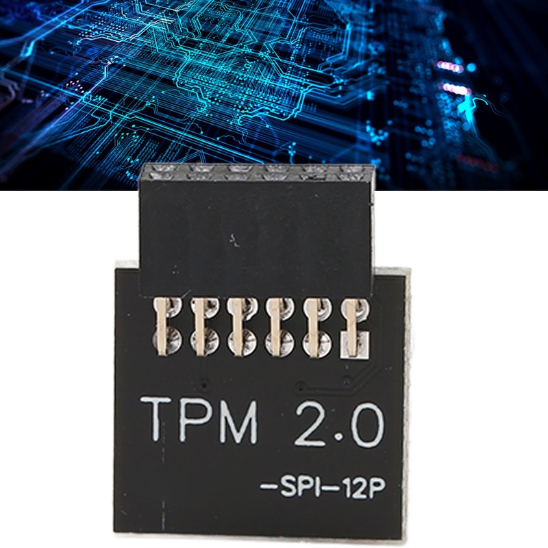 TPM2.0 Encryption Security Module for GIGABYTE Mainboard SPI 12Pin Security