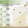 6 Pack Natural Loofah Sponges for Dishes, Loofah Kitchen Sponges