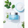 Hyaluronic Moisture Cream / 히알루론 모이스처 크림