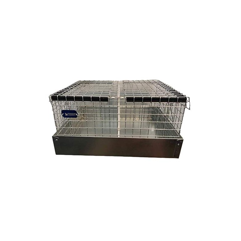 All Things Bunnies 2 Hole Cavy/Chinchilla Carrier/Transport Cage