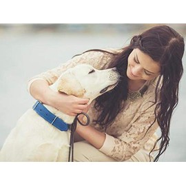 dog diarrhea remedy - DOG DIGESTIVE AID PROBIOTICS - NATURAL APPROACH - SOLUTION TO BAD BREATH AND GAS - COUNTER DIARRHEA - dog probiotics and digestive enzymes powder - 1 Bottle (60 Treats)