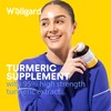 Turmeric Capsules High Strength by Wellgard, Turmeric 95, Curcumin, Made