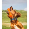 Bionic Dog Stick Toy, Orange, Small, 0.18 kg