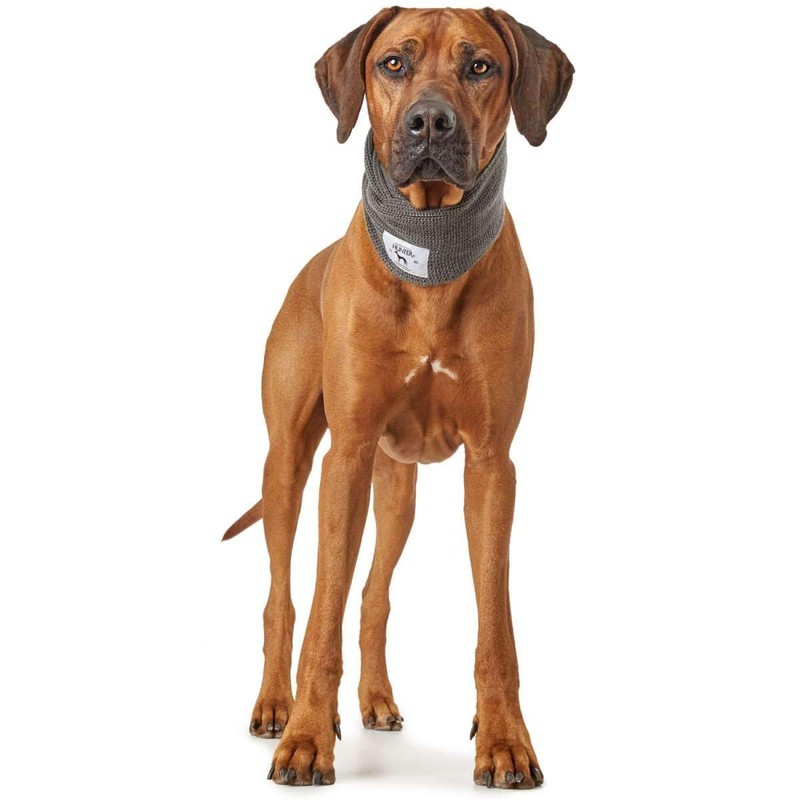 HUNTER Nancy Dog Scarf Grey One Size