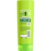Garnier Fructis Color Shield Fortifying Conditioner 12 Fl Oz (Pack
