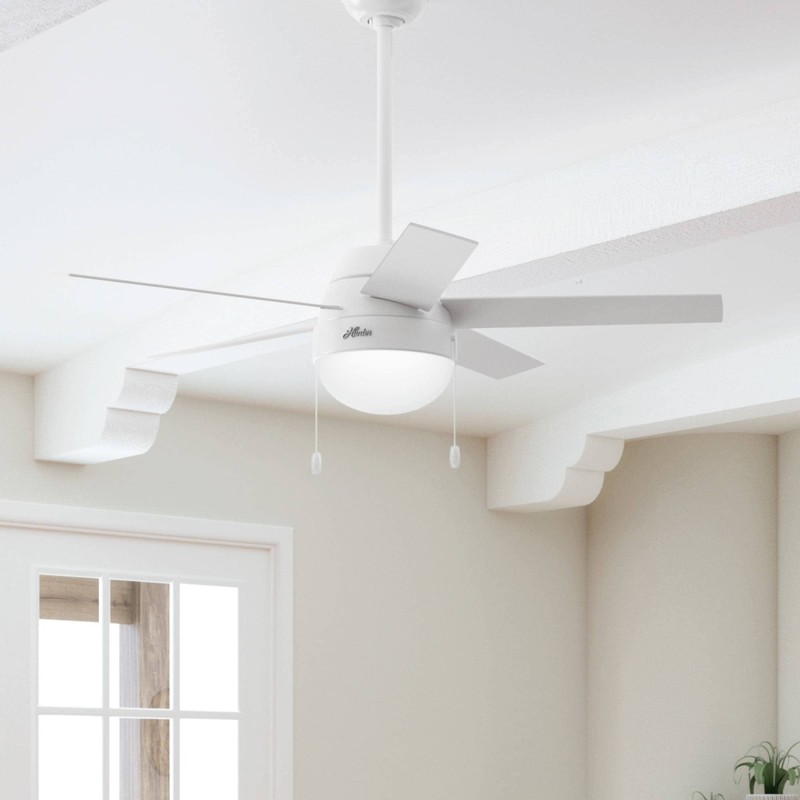 Hunter 46 inch Indoor Ceiling Fan with LED Light -