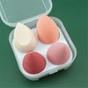 Ns Beauty Makeup Sponge Set Beauty Blender with Egg Case,