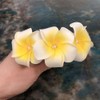 12Pcs 2.4 White Yellow Plumeria Flower Hair Clips Hawaiian Foam