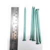 Astone Green Coated Exterior Nails Garden decking Nails (250g x
