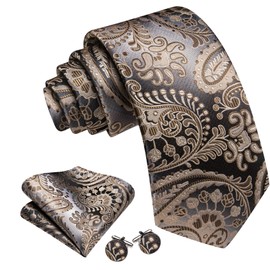 Barry.Wang Champagne Grey Tie for Men Paisley Silk Necktie Pocket Square Cufflinks Set Formal Wedding Party Business