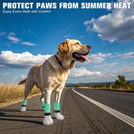 BINGPET 4Pcs Dog Socks to Prevent Licking Paws Double Sides Grips,Dog Shoes for Hot Pavement & Hardwood Floors Anti Slip,Traction Dog Booties and Paw Protectors for Small Medium Large Senior Dogs