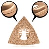 Premium Carbide Grit Rasp Blade for Oscillating Multitool High Performance