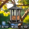 Birdream Hanging Bird Feeders, Retro Pagoda Design Fun Installation Squirrel
