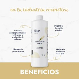 Hidrolato De Arroz Puro Hidrosol Orgánico Hidratante Anti-edad Cruelty-free Libre de parabenos y aditivos Especial Para Piel Sensible 100% Natural, He