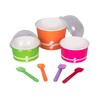 Karat U2400 (Rainbow) 3.7" PS Disposable Gelato Spoon, Rainbow (Pack