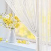 MIULEE String Curtain Mosquito Net Door Curtain for Balconies Room
