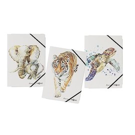 PAGNA Save me No.3 21627-25 Set of 3 Elasticated Folders A4 Assorted