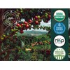 Artizan Coffee USDA Organic Espresso Coffee Capsules For Nespresso Original