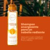 Shampoo Con Ginseng Anyeluz - Ml