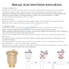 Beduan Brass 10500-VE Automatic Float Valve, 1/4" Male Thread Air