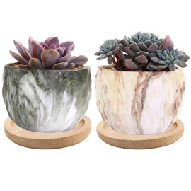 6pcs 3 inch Bamboo Round Plant Saucer, Mini Flower Pot Tray for Cactus Plant Pot Flower Pot Container Planter Bonsai Pots,no Plants Pot