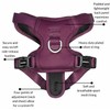 DJANGO Tahoe No Pull Dog Harness - Durable & Comfortable