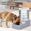 RIZZARI 8L Automatic Gravity Pet Water Dispenser with Stainless Steel