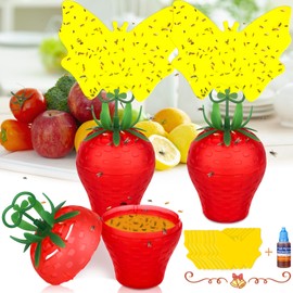 Fruit Fly Trap for Indoors,Fly Catcher Gnat Traps with 8Pcs Sticky Pads,Effective Fly Catcher Gnat Traps,Odorless Safe Fly Catcher Gnat Fruit Flies Trap for Plant House Kitchen (Red,2 Pack)