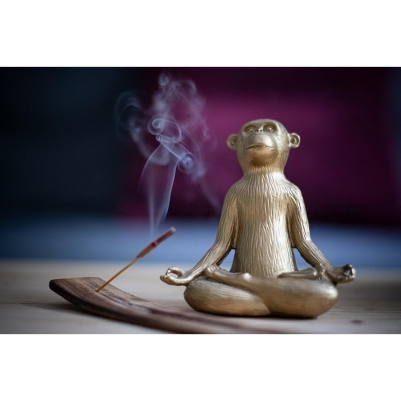 SATA SAI BABA NAG CHAMPA Incense India Nag Champa 0.5
