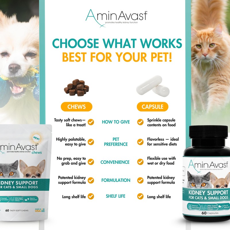 AminAvast Small Dogs & Cat Kidney Support - Promotes Healthy