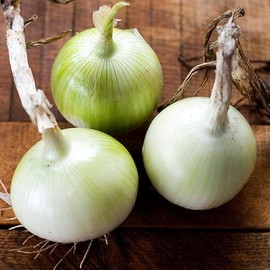 Onion Seeds (Short Day) - White Grano - Packet - Vegetable Seeds, Heirloom Seed, Open Pollinated Seed Root Vegetable, Container Garden