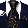 Hi-Tie Ties for Men Paisley Mens Tie Set Wedding Formal
