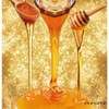 HONEY TREATMENT 20.2 fl oz (600 ml) [Horse Oil +
