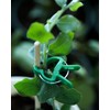 Plant Clips Plant Clips for Trellis Tomatoes, Roses, Cucumbers and