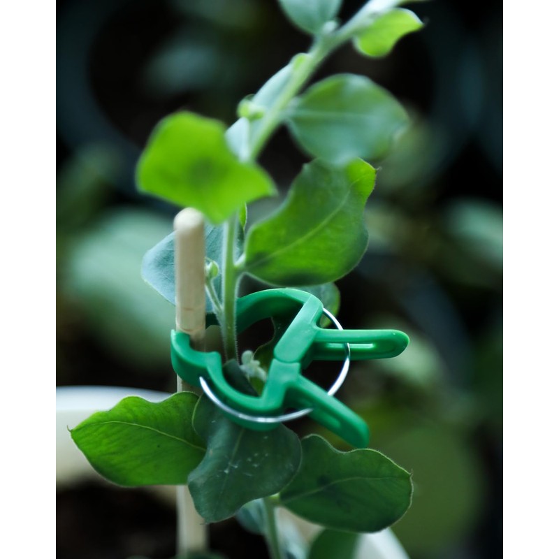 Plant Clips Plant Clips for Trellis Tomatoes, Roses, Cucumbers and