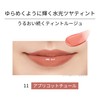 Ettusais Lip Edition (Tint Rouge) 11 Apricot Tulle Lipstick, 0.07