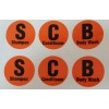 Unbranded Orange Bathroom Shampoo Conditioner & Body Wash Decals Stickers