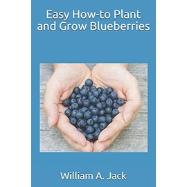 Easy How-to Plant and Grow Blueberries