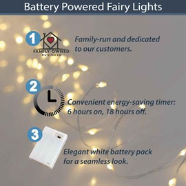 QBIS - Luces de hadas de color blanco cálido que funcionan con pilas con modo temporizador, 40 microluces LED para tarros de albañil, 6.5 pies, luces de alambre plateado para uso en interiores (blanco