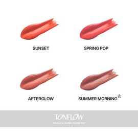 Wireless Toneflow Water Cloud Tint / 와이레스 톤플로우 워터 클라우드 틴트
