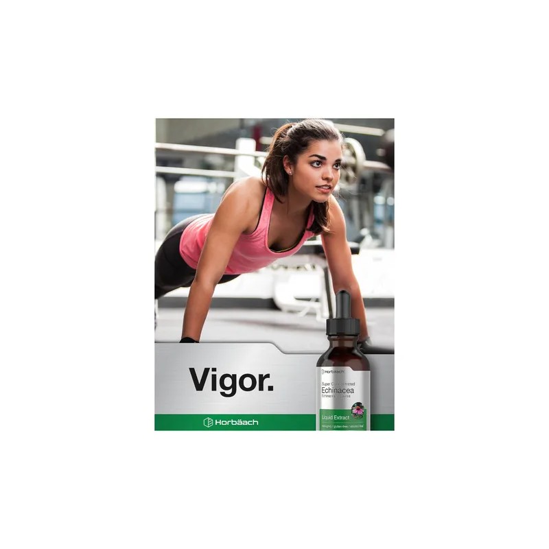 Echinacea Gotas Para Fortalecer Tu Salud 59ml Americano