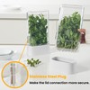 vacane Herb Keeper for Refrigerator, Fresh Herb Saver Herb Storage