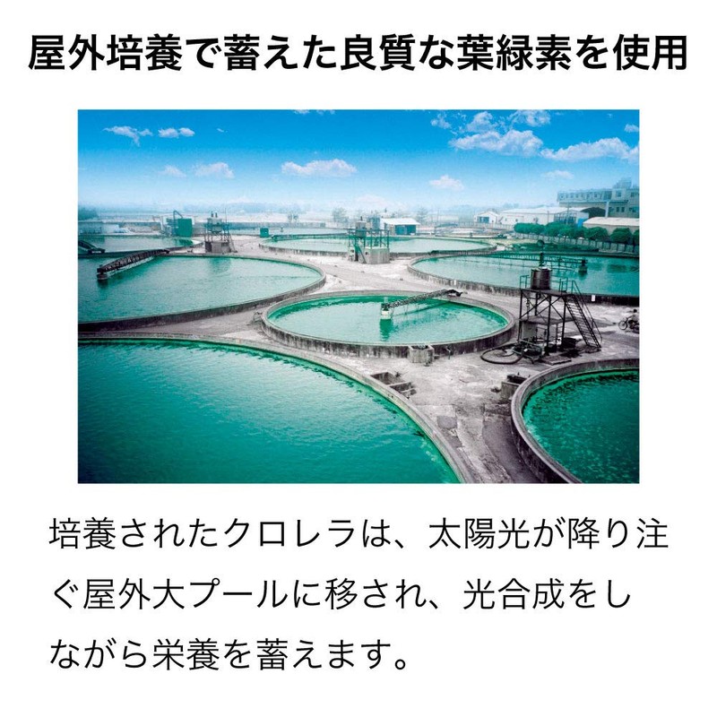 Yamada Beekeeping Garden Vegetable Chlorella (300 Capsules) Bottle