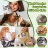 PANRIO Interactive Cat Toys for Indoor Cats,Electric Flying Bird &
