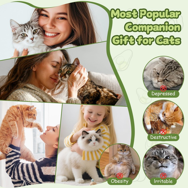 PANRIO Interactive Cat Toys for Indoor Cats,Electric Flying Bird &