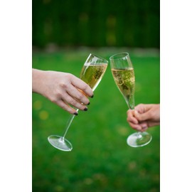 Luigi Bormioli Vinoteque 6 oz Wine/Champagne Glasses, 6 Count (Pack of 1), Clear