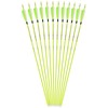 annastar 30" Carbon Feather Arrows Practice Hunting Arrows Spine 300