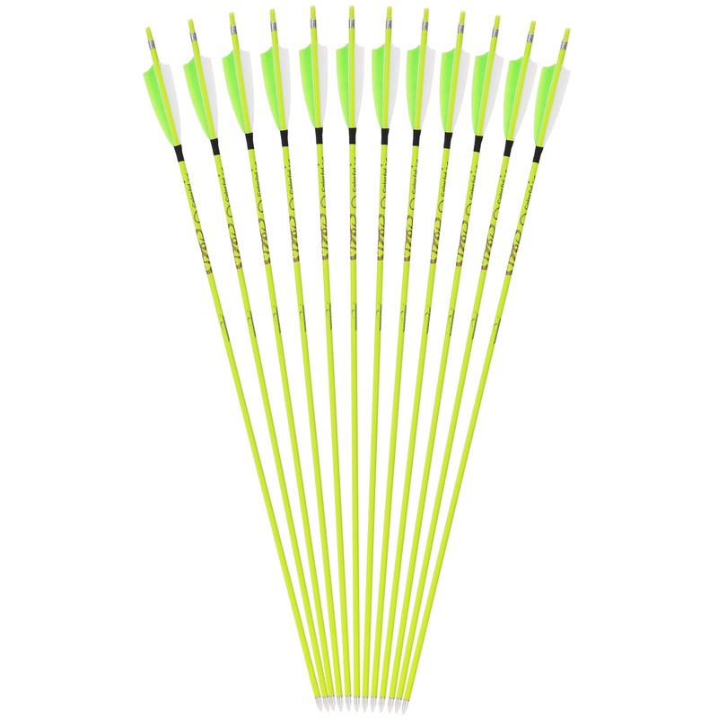 annastar 30" Carbon Feather Arrows Practice Hunting Arrows Spine 300
