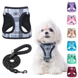 BEAUTYZOO Small Dog Harness and Leash Set,Step in No Choke No Pull Soft Mesh Dog Harnesses Reflective for Extra-Small Medium Puppy Dogs and Cats, Plaid Dog Vest Harness for XS S Pets, Grey XXS